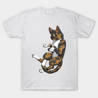 Tortie-Tabby Shorthair T-Shirt